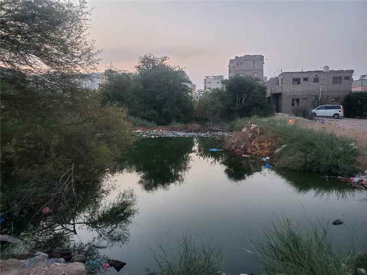 سكان أحد أحياء التقنية بالمنصورة يطالبون السلطات معالجة مشكلة طفح مياه الصرف الصحي