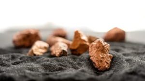 حصلت BHP على الترخيص البيئي لتوسعة إيسكونديدا