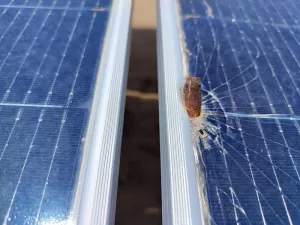 اخبار اليمن الان – 198 لوحًا شمسيًا تضررت بسبب الرصاص الطائش في عدن (تقرير وصور)