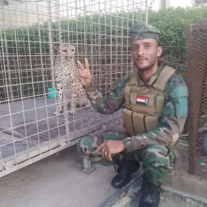 اخبار اليمن الان – قصة الفهد الذي هرب امس في التواهي بعدن من منزل مسؤول