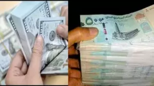 أسعار الصرف في اليمن: نظرة على التغيرات والتحديات